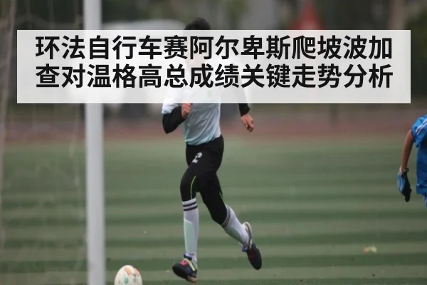 环法自行车赛阿尔卑斯爬坡波加查对温格高总成绩关键走势分析